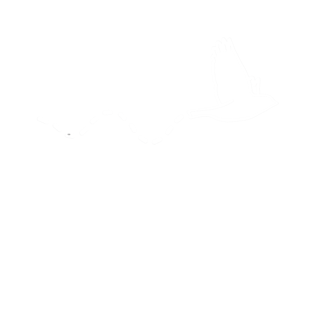 The Birding Academy
